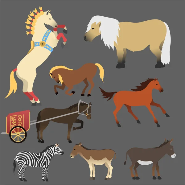 Koně pony hřebec izolované různých plemen barevný farma jezdecké zvíře postavy vektorové ilustrace. — Stockový vektor