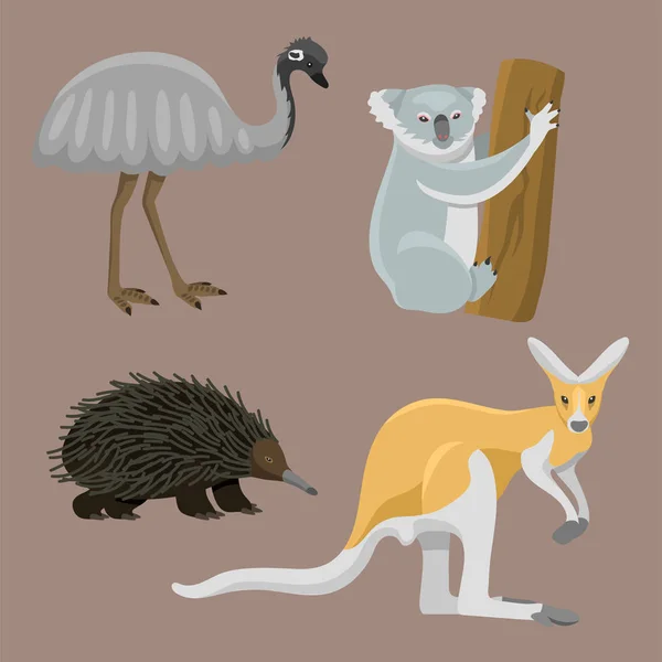 Australien wilde Tiere Cartoon beliebte Natur Charaktere flachen Stil Säugetier Sammlung Vektor Illustration. — Stockvektor