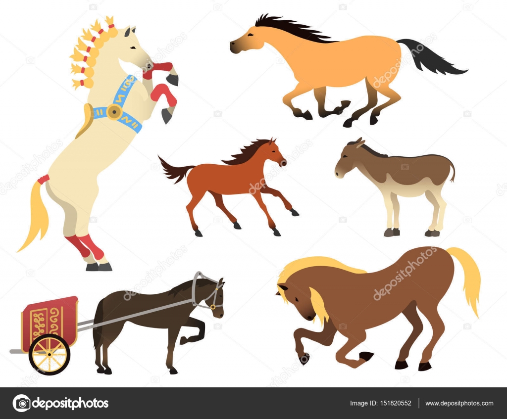 Horse pony stallion isolated different breeds color farm equestrian animal characters vector illustration. Stock Vector Image by ©VectorShow #151820552 Horse pony stallion isolated different breeds color farm equestrian animal characters vector illustration. Stock Vector Image by ©VectorShow #151820552