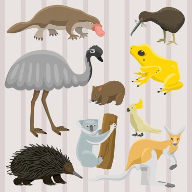 Avustralya vahşi hayvanlar popüler doğa karakterler düz stil memeli koleksiyonu vektör çizim karikatür.