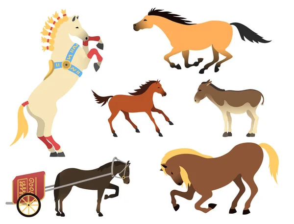 Cheval poney étalon isolé différentes races couleur ferme équestre animaux caractères vectoriels illustration . — Image vectorielle