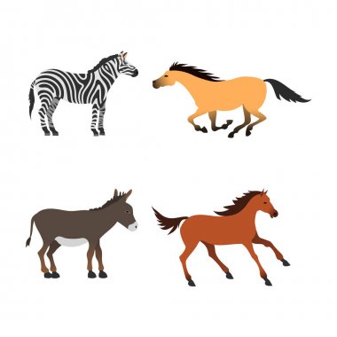 At midilli aygır farklı doğurmak renk çiftlik binicilik hayvan karakter vektör illüstrasyon izole.