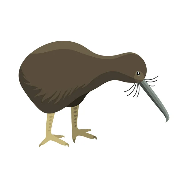 Ave vector vertebrado apteryx mantelli fauna naturaleza kiwi dibujos animados ala vuelo animal lindo carácter . — Vector de stock