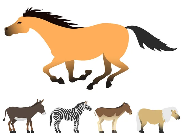 Cheval poney étalon isolé différentes races couleur ferme équestre animaux caractères vectoriels illustration . — Image vectorielle