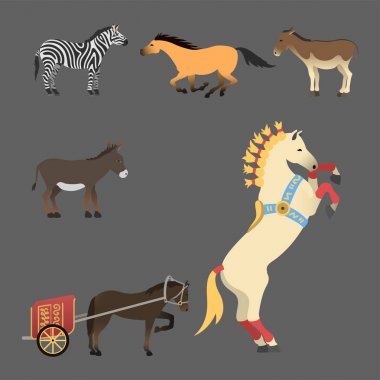 At midilli aygır farklı doğurmak renk çiftlik binicilik hayvan karakter vektör illüstrasyon izole.