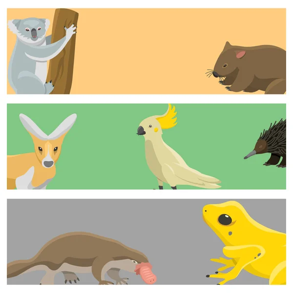 Divoká zvířata Austrálie karikatura populární charakter postavy ploché styl savec kolekce vektorové ilustrace. — Stockový vektor