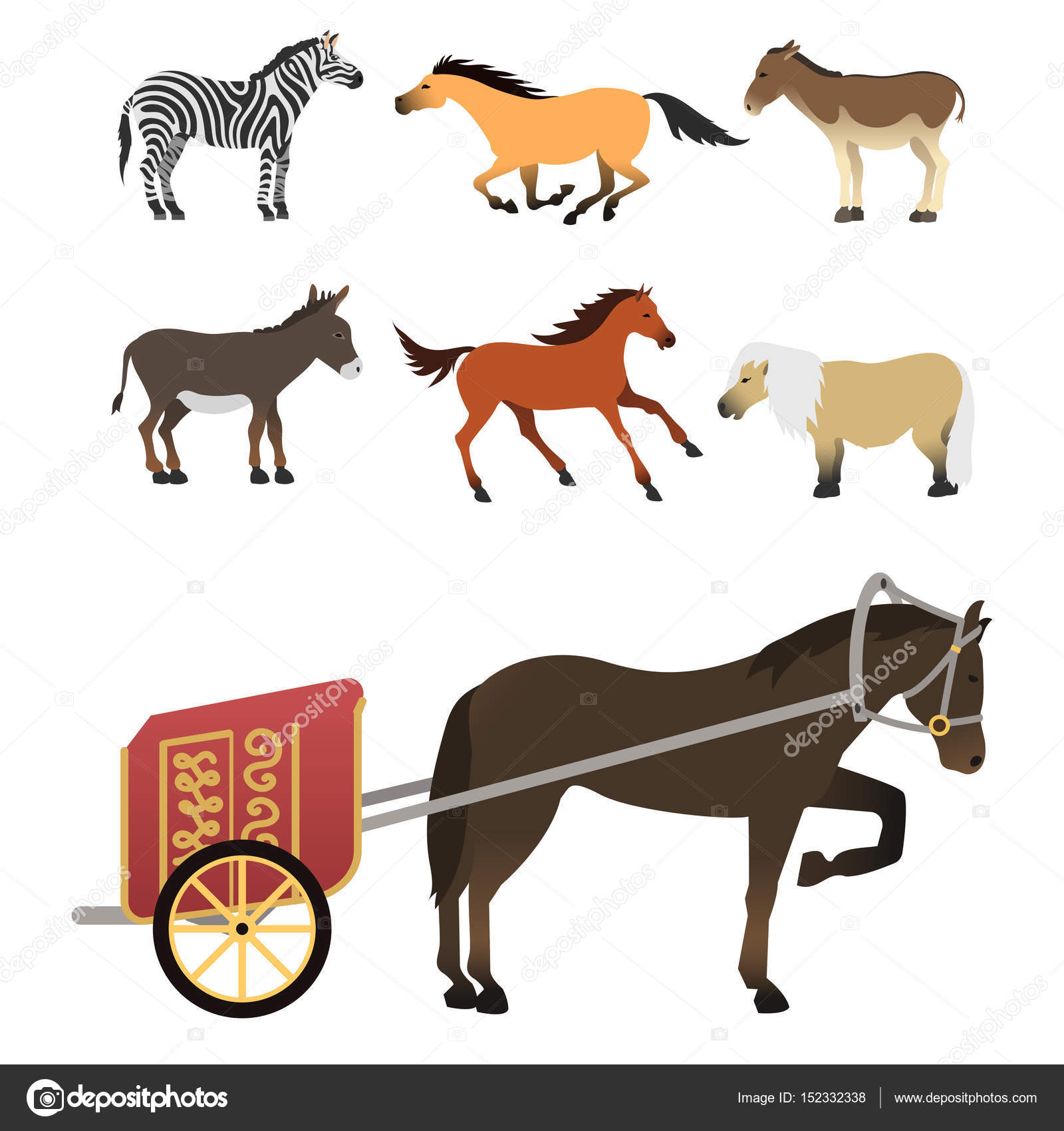 Set di stallone pony cavallo isolato illustrazione di vettore di diverse razze colore fattoria equestre personaggi animali Disegno animali di collezione