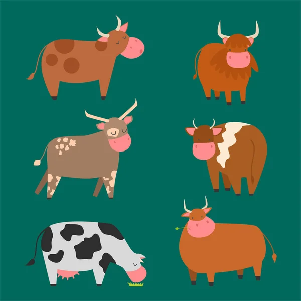 Stiere Kühe Bauernhof Tier Charakter Vektor Illustration Rinder Säugetier Natur Wildfleisch Landwirtschaft. — Stockvektor