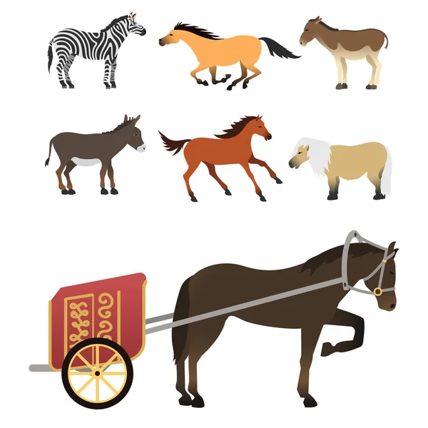 Ló, póni mén elszigetelt különböző fajtájú színes farm lovas állati karakterek vektoros illusztráció. — Stock Vector