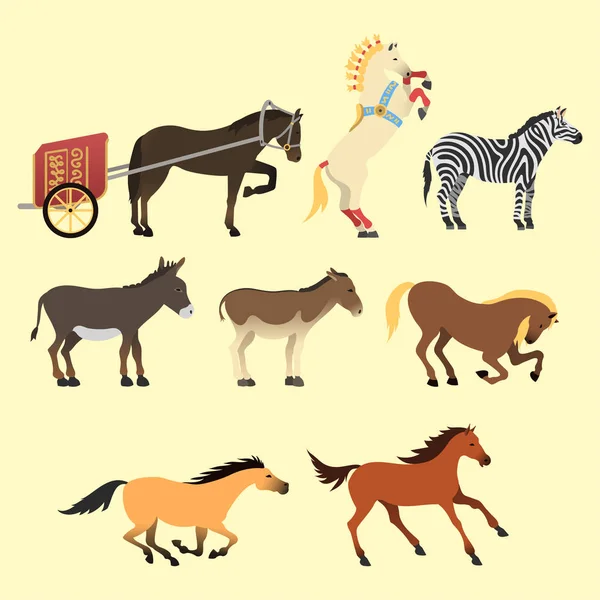 Cavalo pônei garanhão isolado raças diferentes cor fazenda equestre animal caracteres vetor ilustração . —  Vetores de Stock