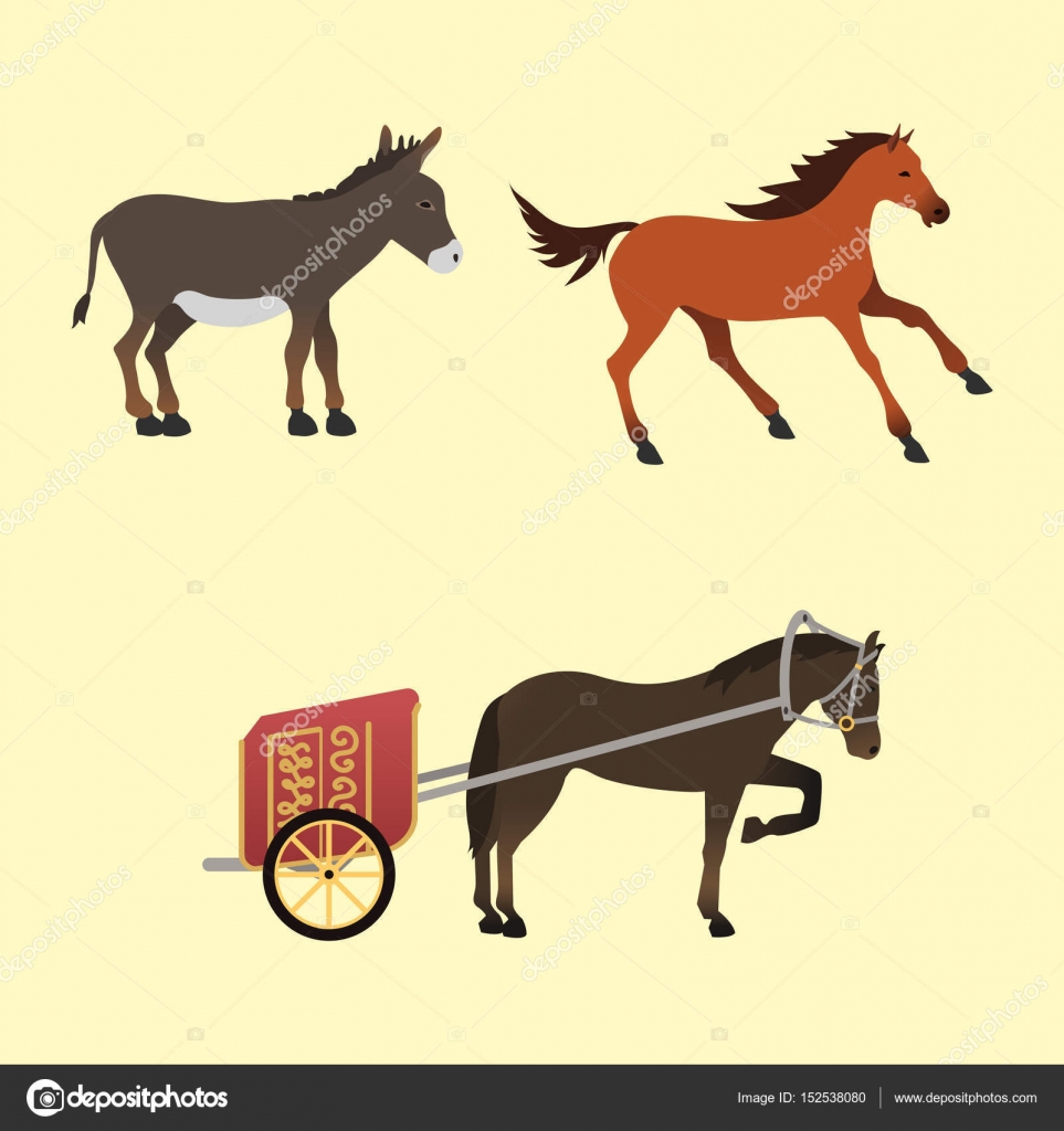 Set di stallone pony cavallo isolato illustrazione di vettore di diverse razze colore fattoria equestre personaggi animali Disegno animali di collezione