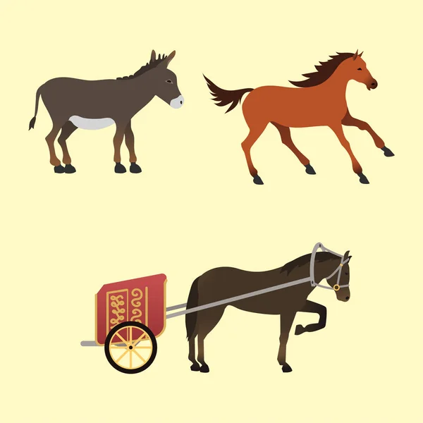 Cavalo pônei garanhão isolado raças diferentes cor fazenda equestre animal caracteres vetor ilustração . — Vetor de Stock