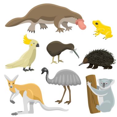 Avustralya vahşi hayvanlar popüler doğa karakterler düz stil memeli koleksiyonu vektör çizim karikatür.