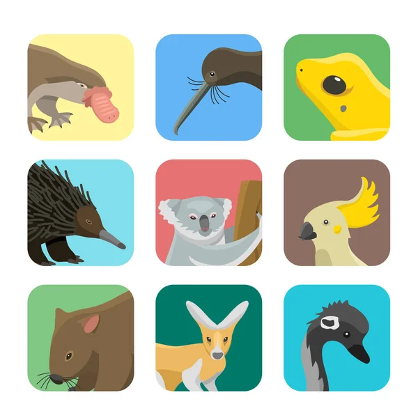 Australien wilde Tiere Cartoon beliebte Natur Charaktere flachen Stil Säugetier Sammlung Vektor Illustration. — Stockvektor