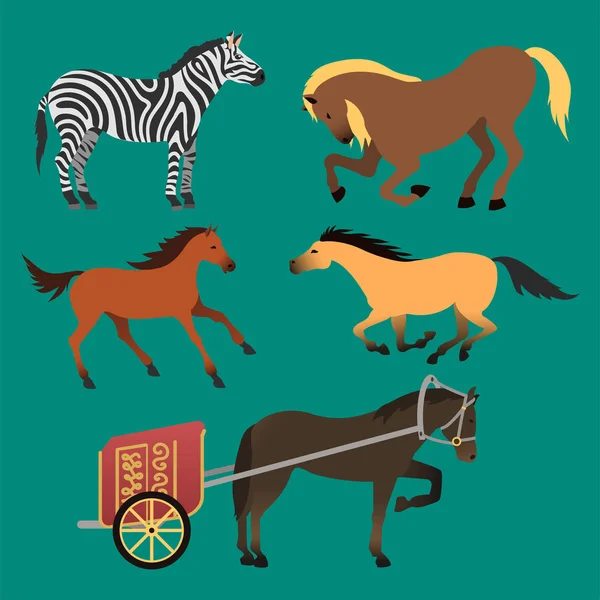 Cheval poney étalon isolé différentes races couleur ferme équestre animaux caractères vectoriels illustration . — Image vectorielle