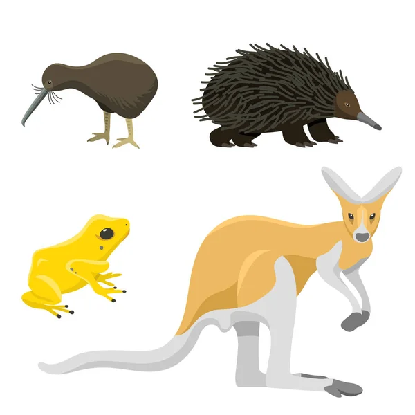 Australien wilde Tiere Cartoon beliebte Natur Charaktere flachen Stil Säugetier Sammlung Vektor Illustration. — Stockvektor