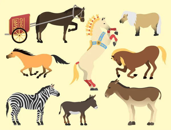 Ló, póni mén elszigetelt különböző fajtájú színes farm lovas állati karakterek vektoros illusztráció. — Stock Vector
