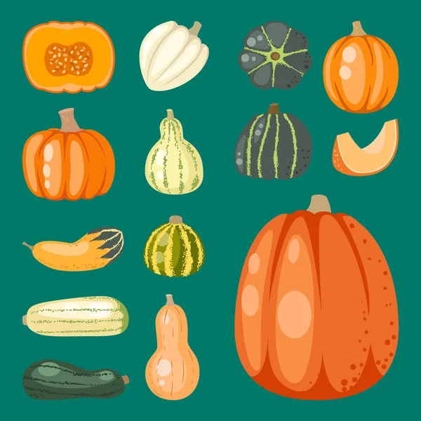Friss narancs tök dekoratív szezonális érett élelmiszerek ökológiai egészséges vegetáriánus zöldség vektor — Stock Vector