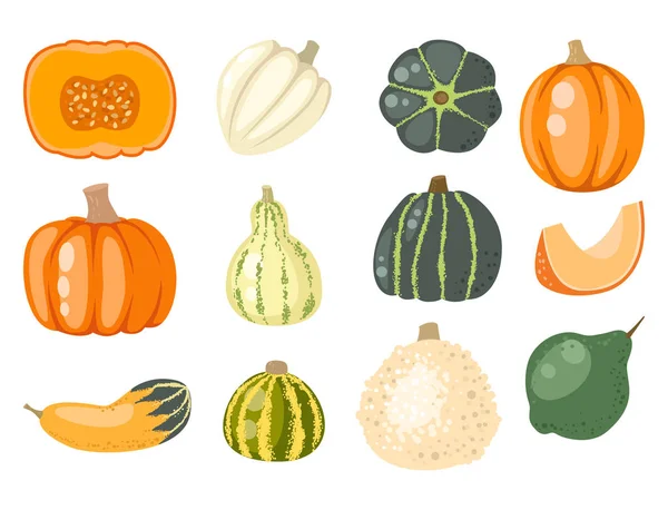 Labu oranye segar Dekoratif musiman masak makanan organik Vektor sayuran sehat - Stok Vektor