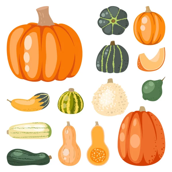 Fresh orange pumpkin decorative seasonal ripe food organic healthy vegetarian vegetable vector — Stock Vector