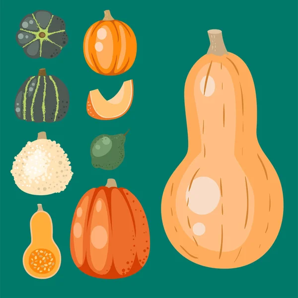 Calabaza naranja fresca decorativa estacional comida madura orgánica saludable vegetariano vector vegetal — Vector de stock