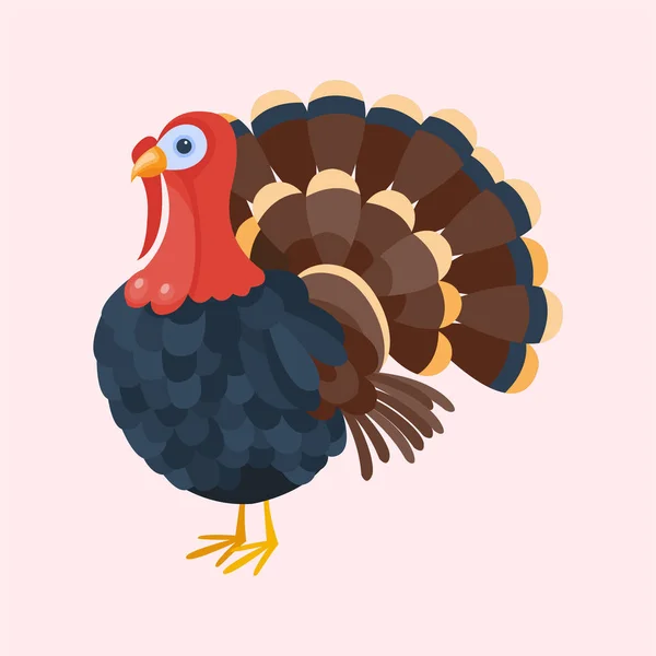 Turkey bird isolated thanksgiving nature farm animal feather poultry tail fowl cock character vector illustration. — Stock Vector