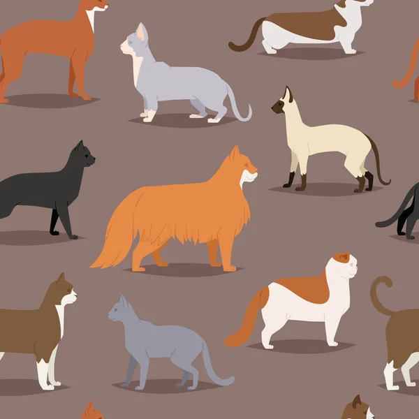 Diferentes razas de gatos lindo gatito mascota dibujos animados lindo personaje animal conjunto patrón sin costuras — Vector de stock