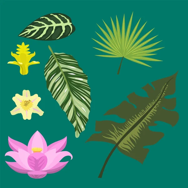 Hojas tropicales verano verde selva exótica hoja de palma naturaleza planta botánica hawaii flora vector ilustración . — Archivo Imágenes Vectoriales