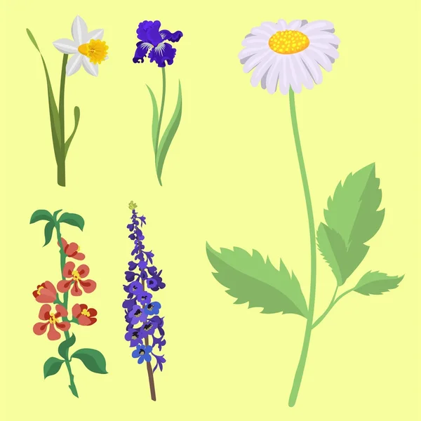 Hermosa flor de primavera flor botánica acuarela pintura rama de verano pétalo decoración ramo naturaleza diseño vector ilustración — Vector de stock