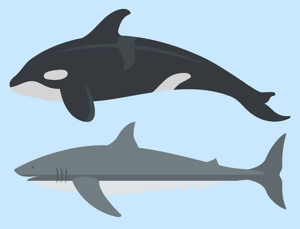 Vektor Meer Tiere Kreaturen Charaktere Cartoon Ozean Unterwasser Aquarium Leben Wasser Grafik aquatische tropische Tiere Illustration — Stockvektor