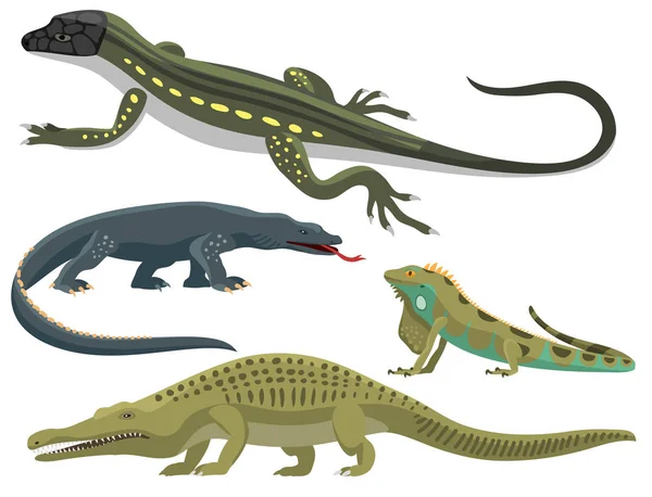 Plazů a obojživelníků pestré fauny vektorové ilustrace reptiloidních predátor plazi zvířata. — Stockový vektor