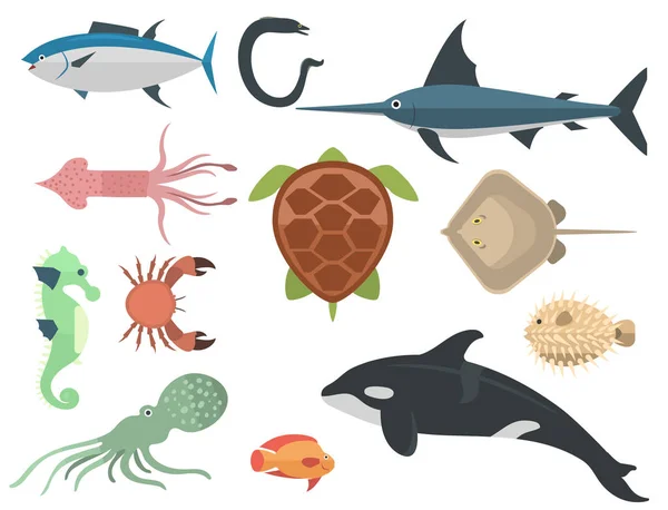 Vector havet djur varelser tecken cartoon ocean undervattensakvarium liv vatten grafisk vattenlevande tropiska bestar illustration — Stock vektor