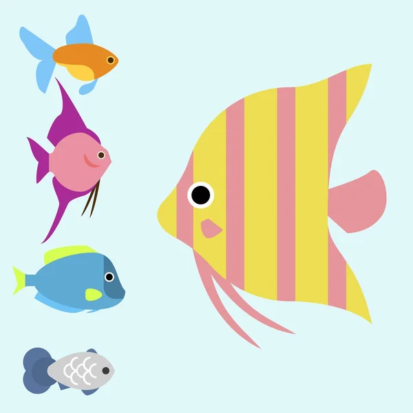 Exótica raza de peces tropicales diferentes colores de raza submarina especies oceánicas acuáticas cepa naturaleza plana vector ilustración . — Vector de stock