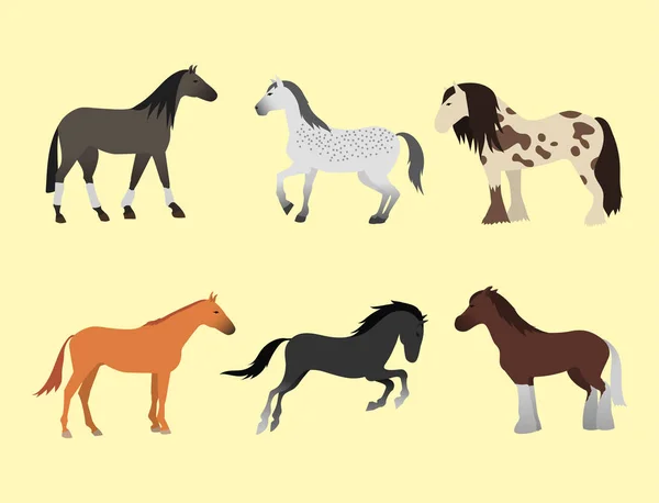 Pferde verschiedene Rassen Tiercharaktere Vektor Illustration. — Stockvektor