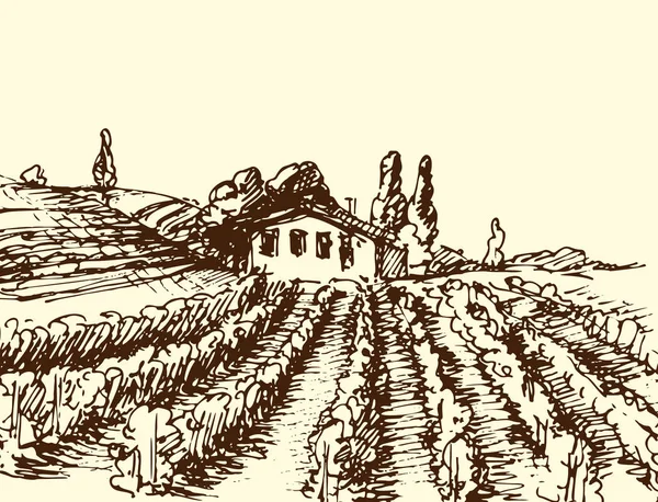 Ρετρό τοπία διανυσματικά εικονογράφηση αγρόκτημα σπίτι γεωργία γραφική ύπαιθρο γραφική παλαιά σχέδιο. — Διανυσματικό Αρχείο