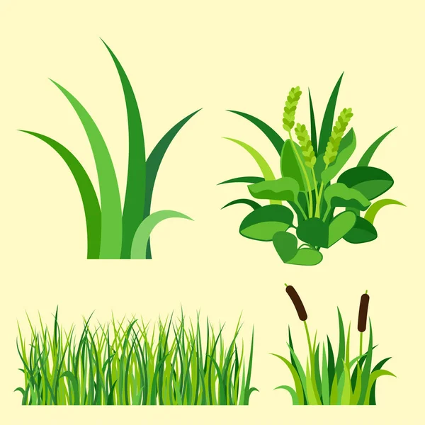 Verde hierba naturaleza diseño elementos vector ilustración aislado crecer agricultura naturaleza fondo — Vector de stock