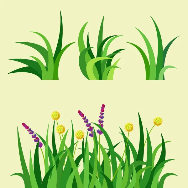Verde hierba naturaleza diseño elementos vector ilustración aislado crecer agricultura naturaleza fondo — Vector de stock