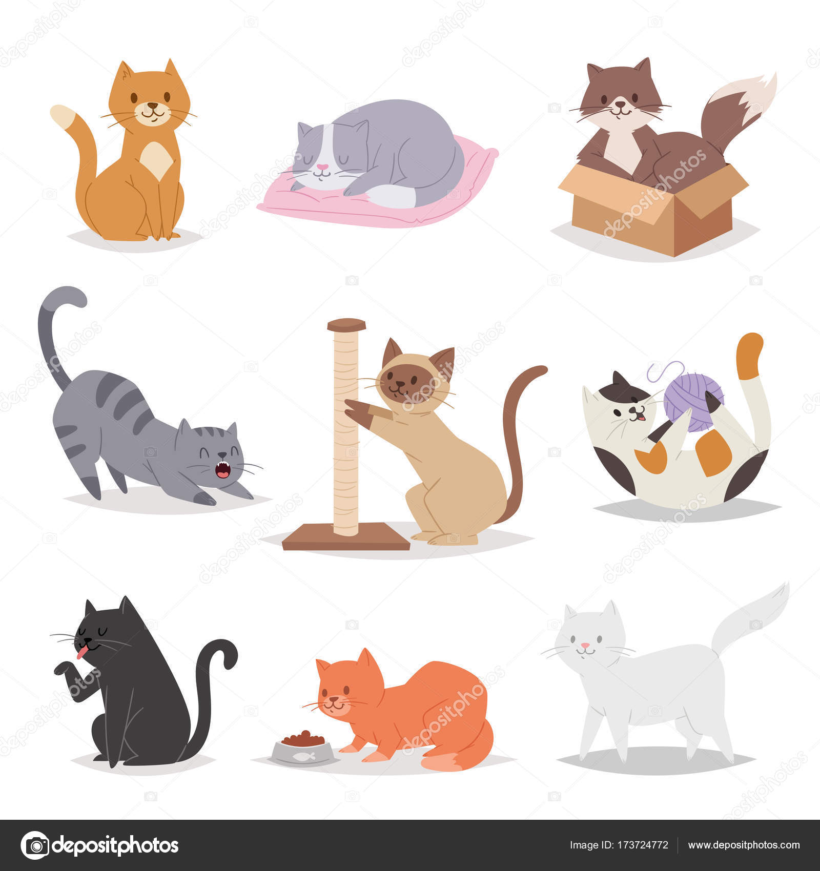 Engraçado desenhos animados gatos personagens diferentes raças ilustração.  Kitty jovem animal de estimação imagem vetorial de VectorShow© 173724772