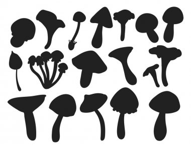 Amanita sinek agaric mantarı mantar mantar farklı sanat tarzı tasarım vektör illüstrasyon kırmızı şapka