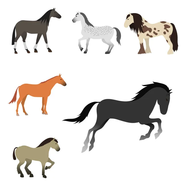 Cheval poney étalon isolé différentes races couleur ferme équestre animaux caractères vectoriels illustration . — Image vectorielle