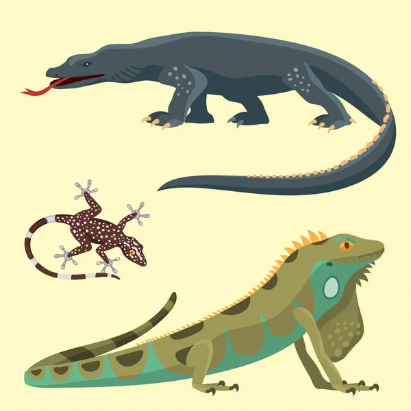 Reptiles y anfibios fauna colorida vector ilustración reptiloides depredadores reptiles animales . — Vector de stock