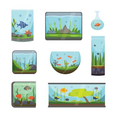 Şeffaf akvaryum üzerinde beyaz balık habitat kova ev sualtı tankı kase vektör illüstrasyon izole
