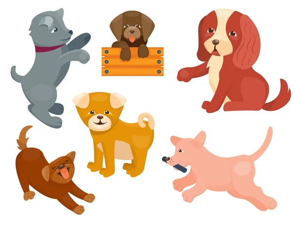 Векторна ілюстрація милі ігри собаки персонажі смішні чистокровні цуценята комікси щаслива порода ссавців — стоковий вектор
