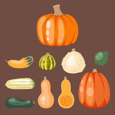 Taze turuncu kabak dekoratif mevsimlik olgun gıda organik sağlıklı vejetaryen sebze vektör