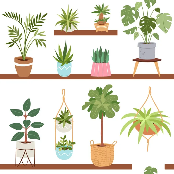 室内媒介植物与自然自制花卉盆栽室内装饰植物天然树花盆插图无缝模式背景 — 图库矢量图片