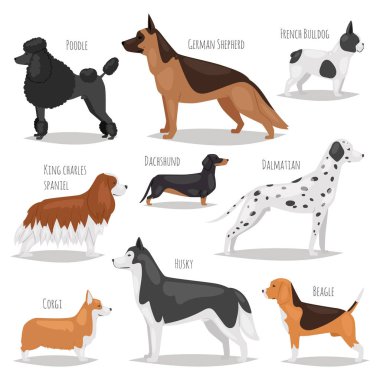 Farklı köpek evcil hayvan karakter doğurmak karikatür tarzı vektör çizim.