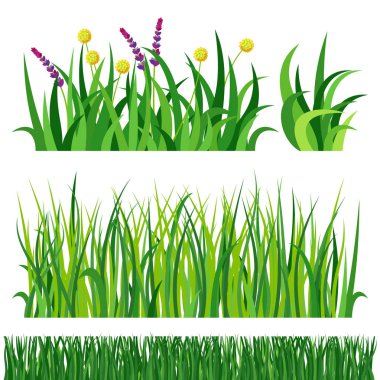 Yeşil çim doğa tasarım öğeleri illüstrasyon izole vektör büyümeye tarım doğa arka plan