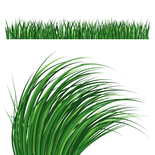 Grün Gras Natur Design Elemente Vektor Illustration isoliert wachsen Landwirtschaft Natur Hintergrund — Stockvektor