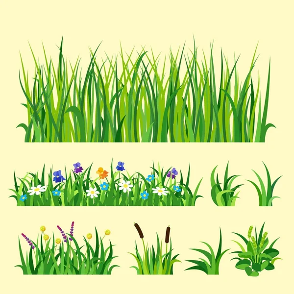 Πράσινο γρασίδι φύση σχεδιασμού στοιχεία διανυσματικά εικονογράφηση απομονωμένη μεγαλώνουν γεωργία φύση φόντο — Διανυσματικό Αρχείο