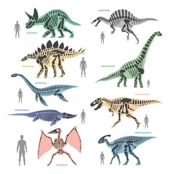 Dnosaurs seletons silhouettes bone animal and jurassic monster predator dino vector flat illustration — Stock Vector